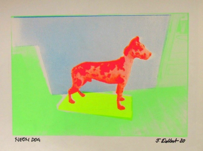 The neon dog